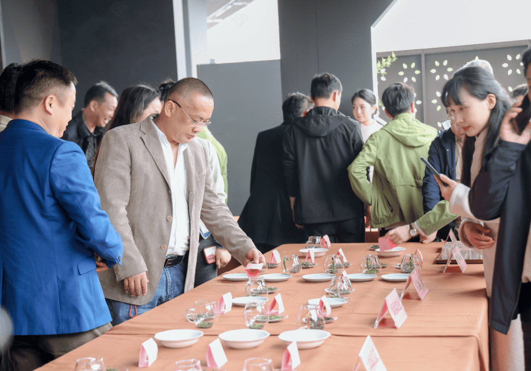 赤壁市第二届"百家茶馆进茶园暨春茶品鉴交易会"成功举行