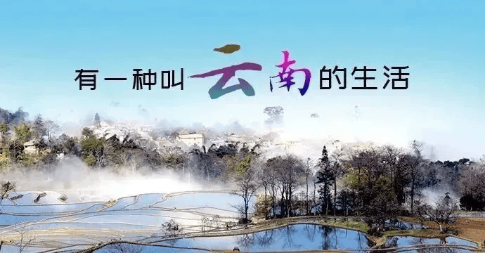 有一种叫云南的生活样样好丨这个春天红河鲜花经济成色足