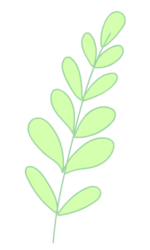 全城联动开放布展2024年上海国际花展4月18日绽放申城