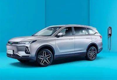 "车主李先生的一句话道出了如今全国约11万威马车主的心声.