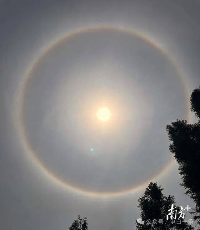 黄良摄于高州长坡中学.黄良摄于高州长坡中学.