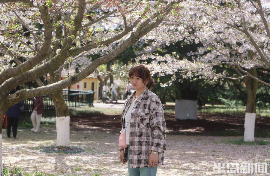 单樱渐尽双樱始开