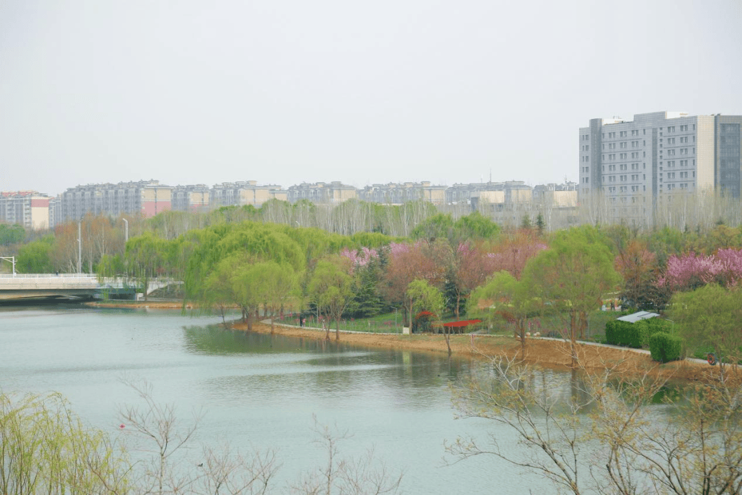 在龙子湖公园来场精神快充