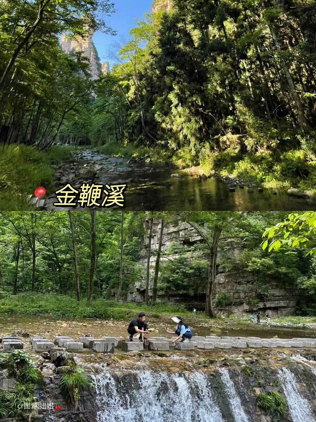 专业人士讲讲马蜂窝网张家界旅游攻略