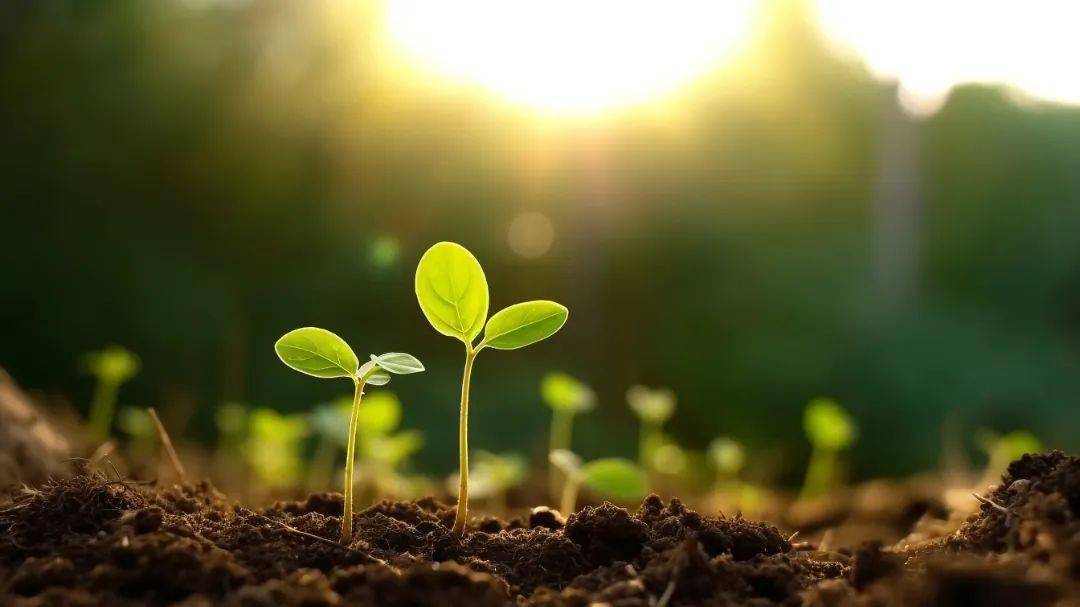 一位妈妈的心路历程孩子因一场咳嗽竟查出淋巴瘤