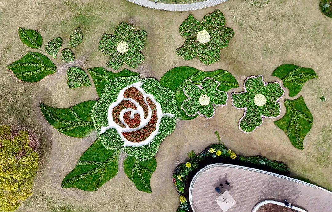 全城联动开放布展2024年上海国际花展4月18日绽放申城