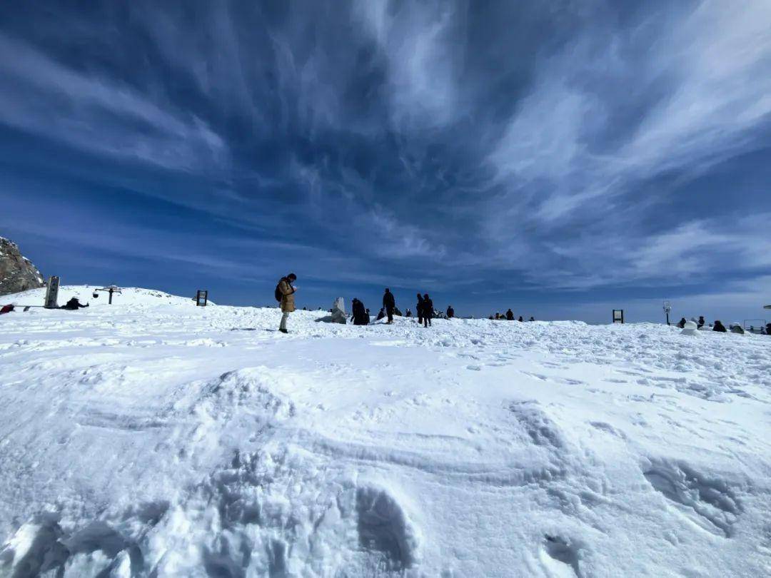 潮玩达古最美达古四月天雪舞花绽同争妍
