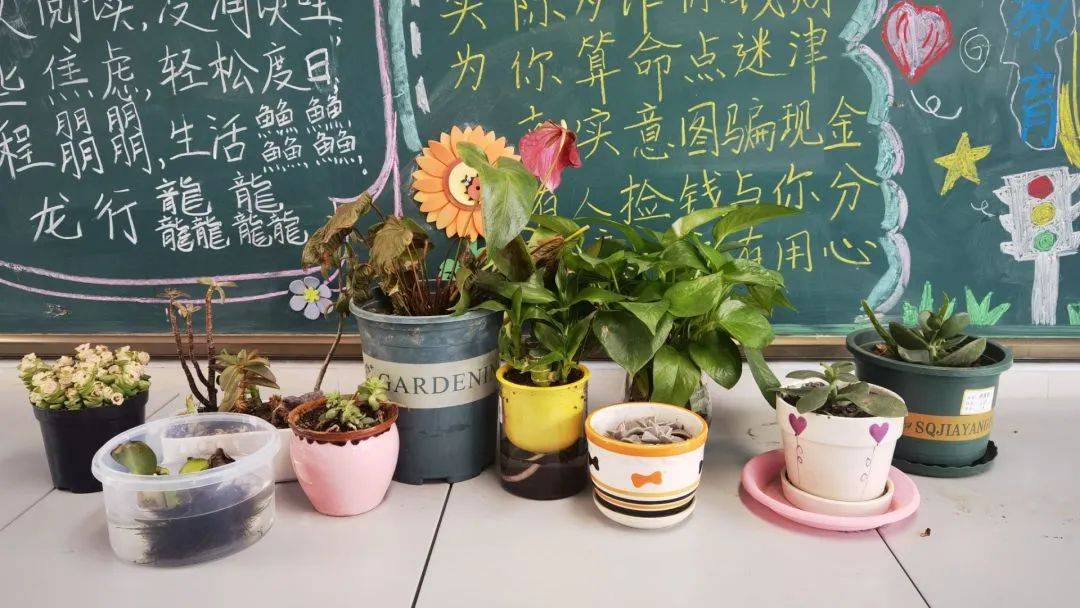 全人教育温馨教室科技创造未来创新点亮校园2023学年第二学期科技节