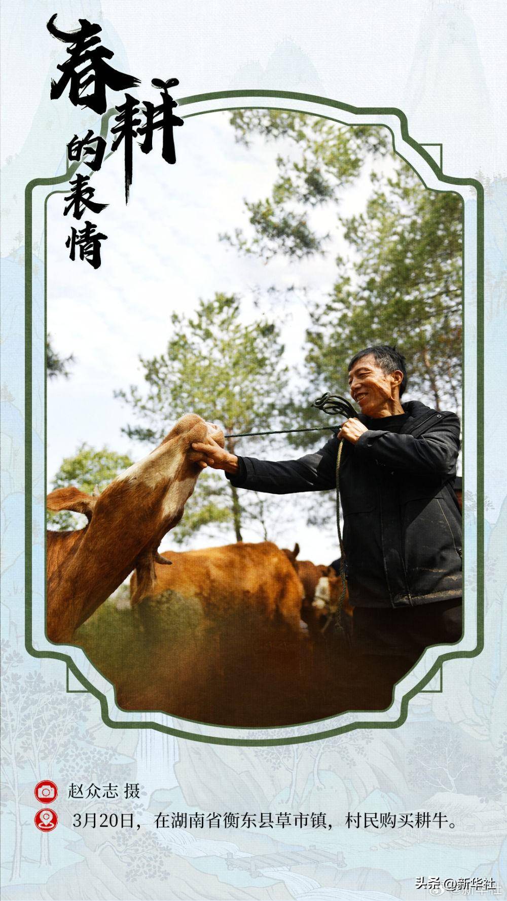春耕的表情