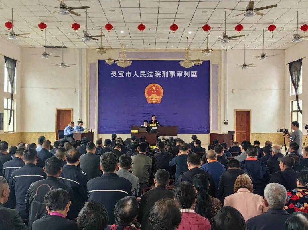 院长主审,检察长主诉,这个巡回审判有看头!_灵宝市_被告人_蔡某