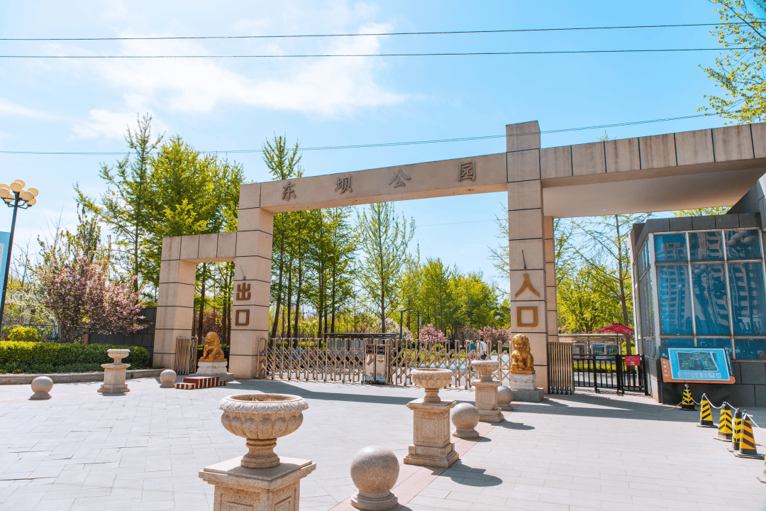 18300余平米东坝公园绿化再升级