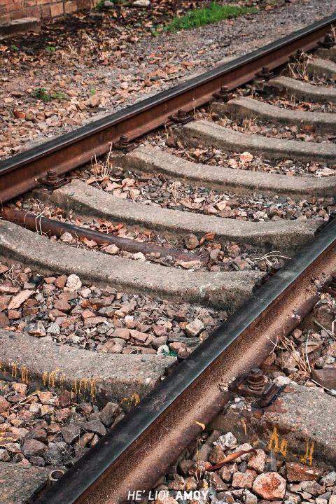 被八市抢足风头的老渔港,疑被废弃停运的"退休铁轨",如今只能在厦门人