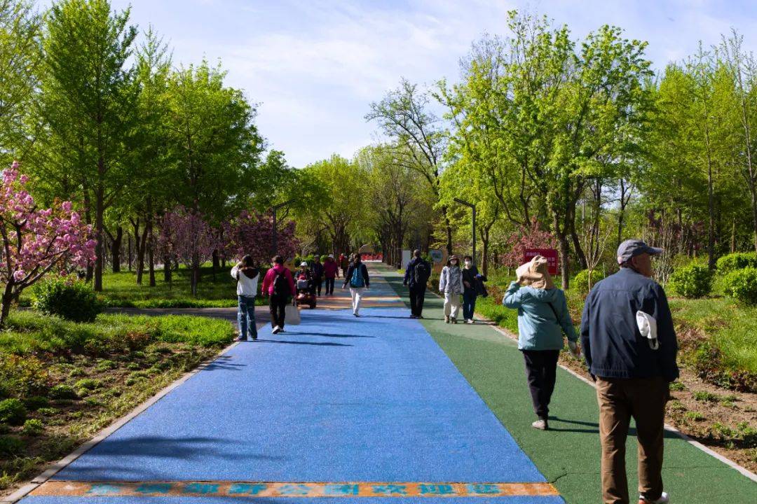 18300余平米东坝公园绿化再升级