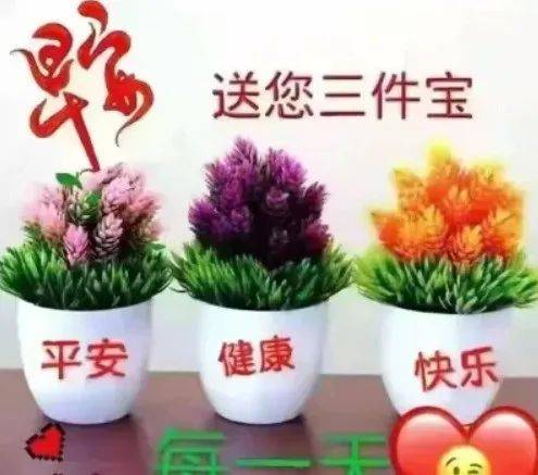 送您三件宝平安健康快乐每一天