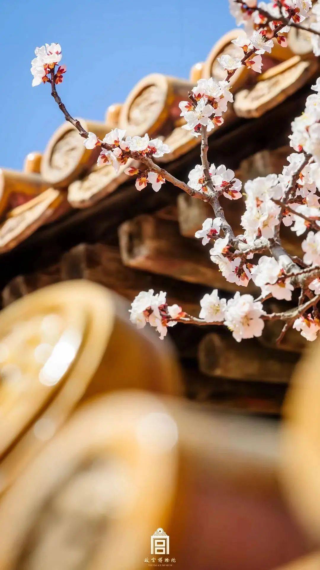 故宫迷狂喜排队也买不到的故宫龙年限定藏书票我们带来了盖章版