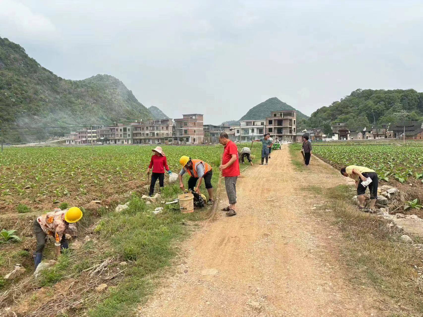 田间残膜等农业资料废弃物进行清理