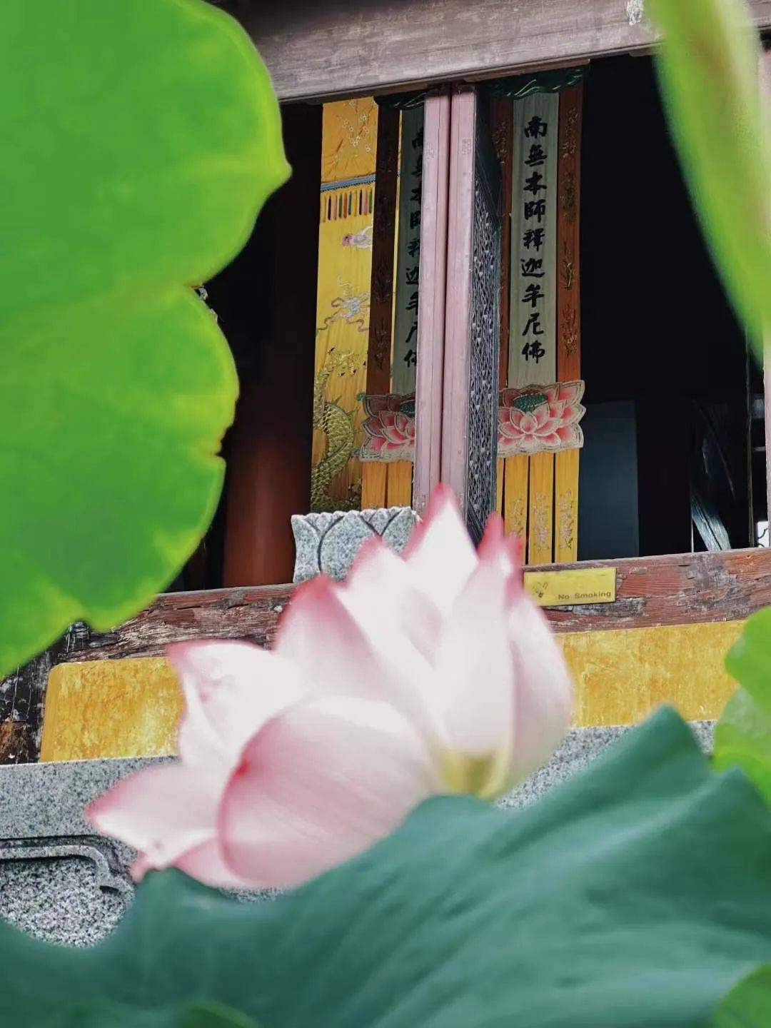 诗路天台┃妙莲阁北宋61张舜民