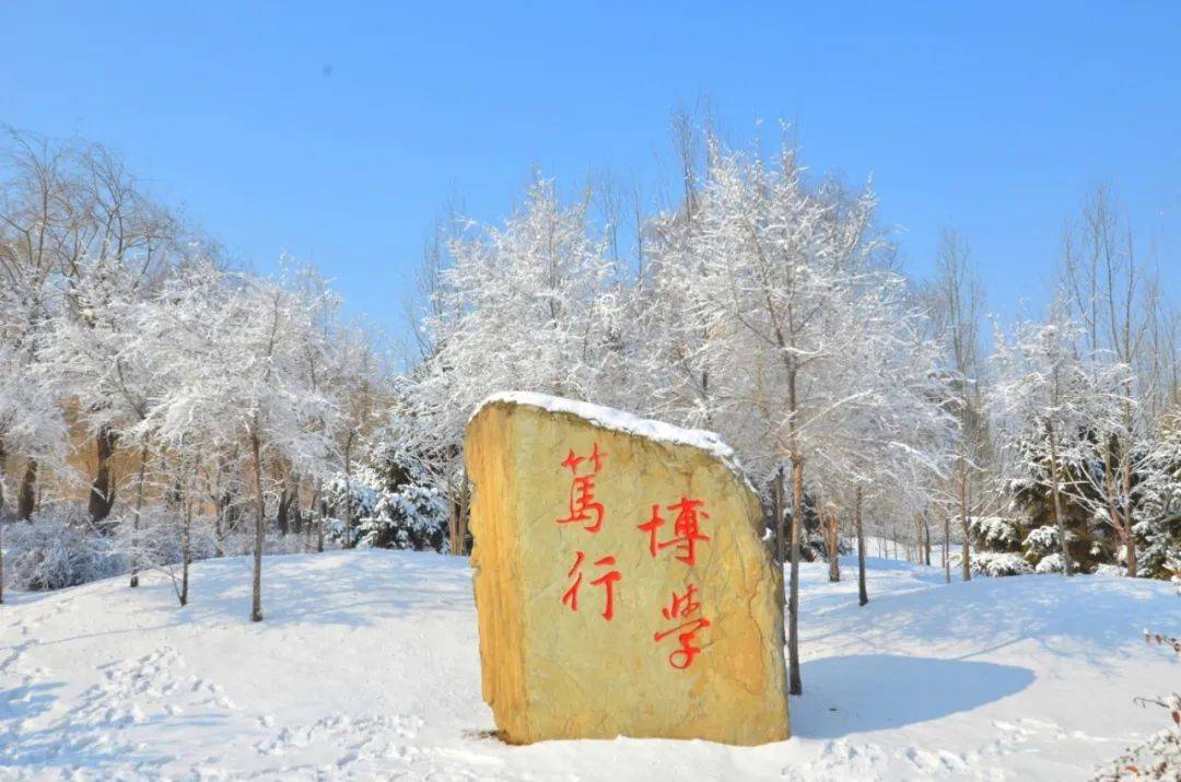 抚顺石油化工大学图片