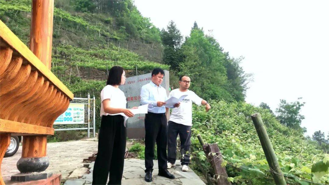 【经验】普安镇:"三方发力"铺好葡萄产业"提质路"
