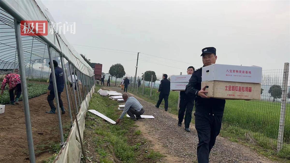 湖北公安县绘就平安枫警用脚步丈量民意用实干赢得民心