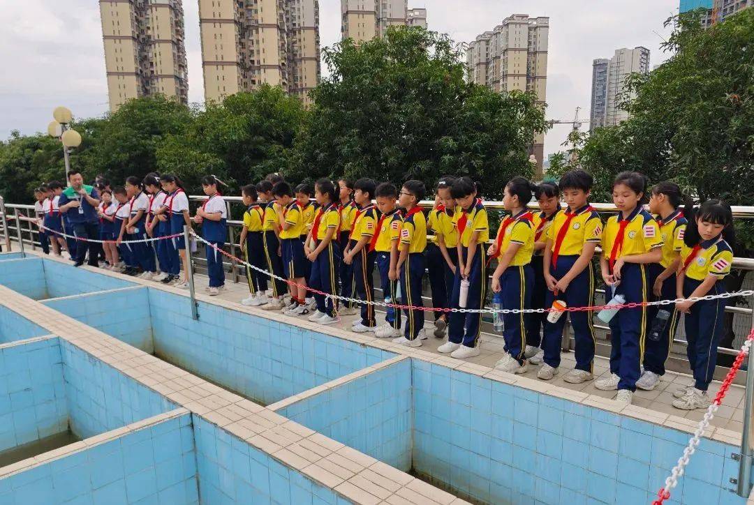 守护碧水共建绿美张槎少先队员奋勇争先做绿美小先锋