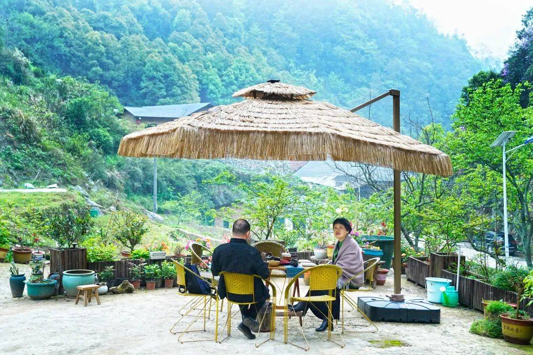 走进山谷秘境,宁乡这家民宿不仅有牡丹,还有……_田园_沩山_青山