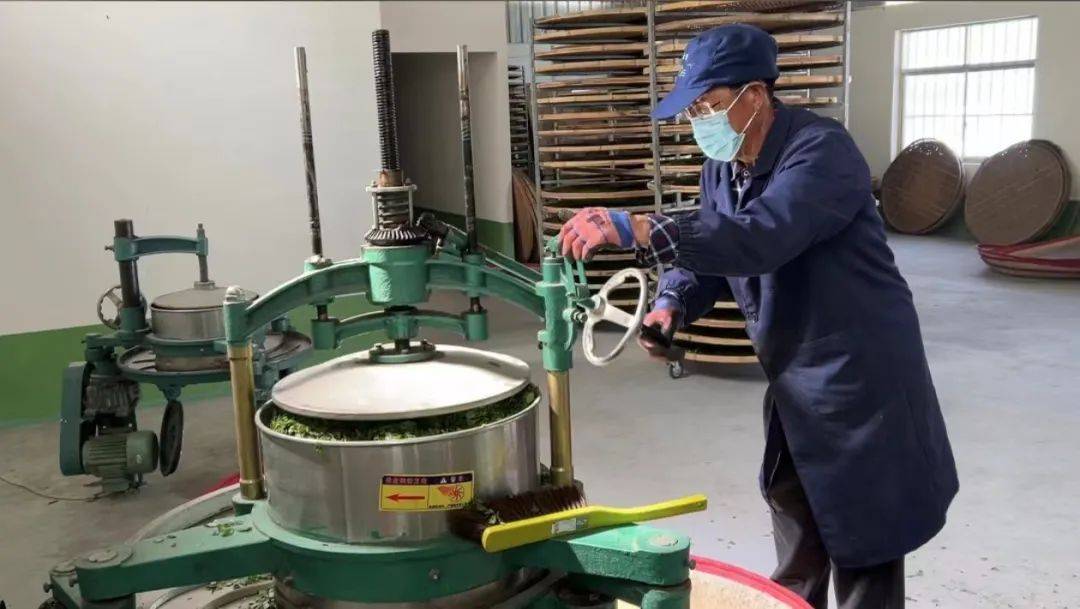 黄龙县白马滩镇:小连翘"链"接富民大产业