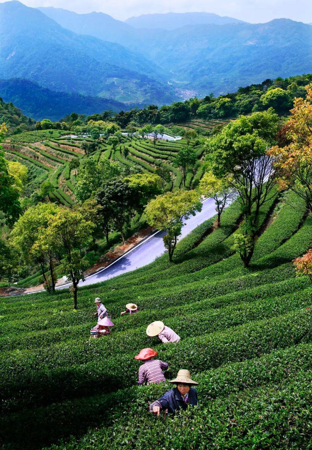 830起抢象窝山生态园,享豪华房 自助早餐 云泉谷门票 象窝山门票,含