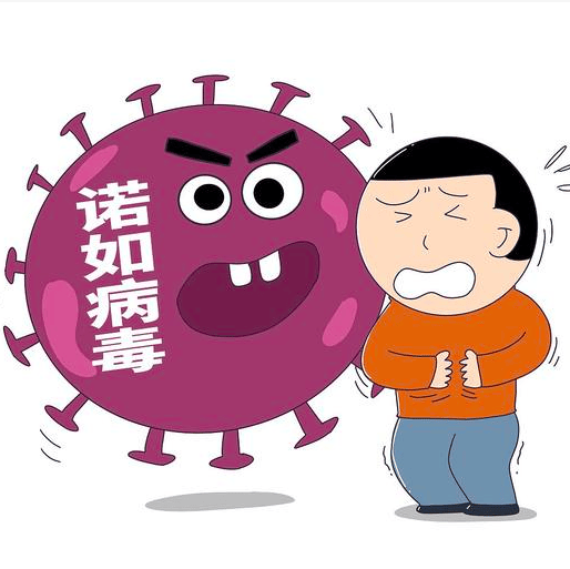 【特别提示】诺如病毒不可怕 让我们好好认识它