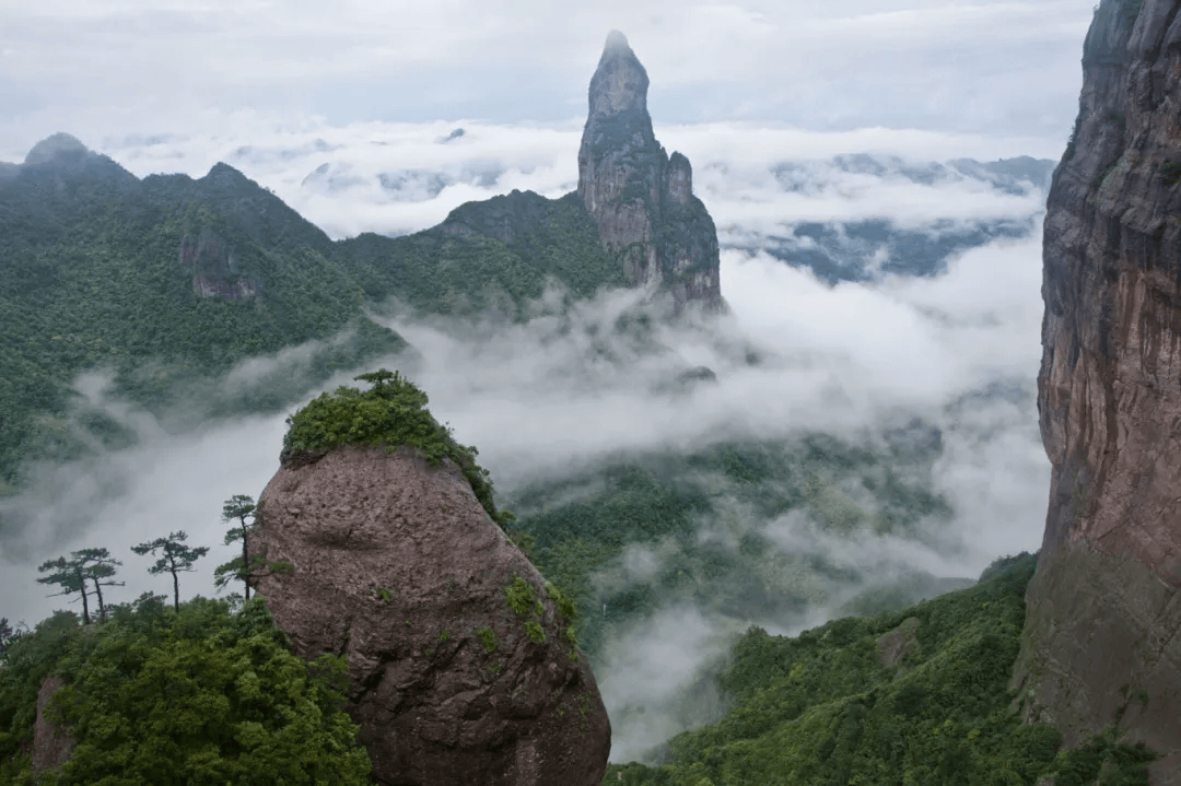 跌入春天,长寿之乡浙江仙居已经进入"next level"!