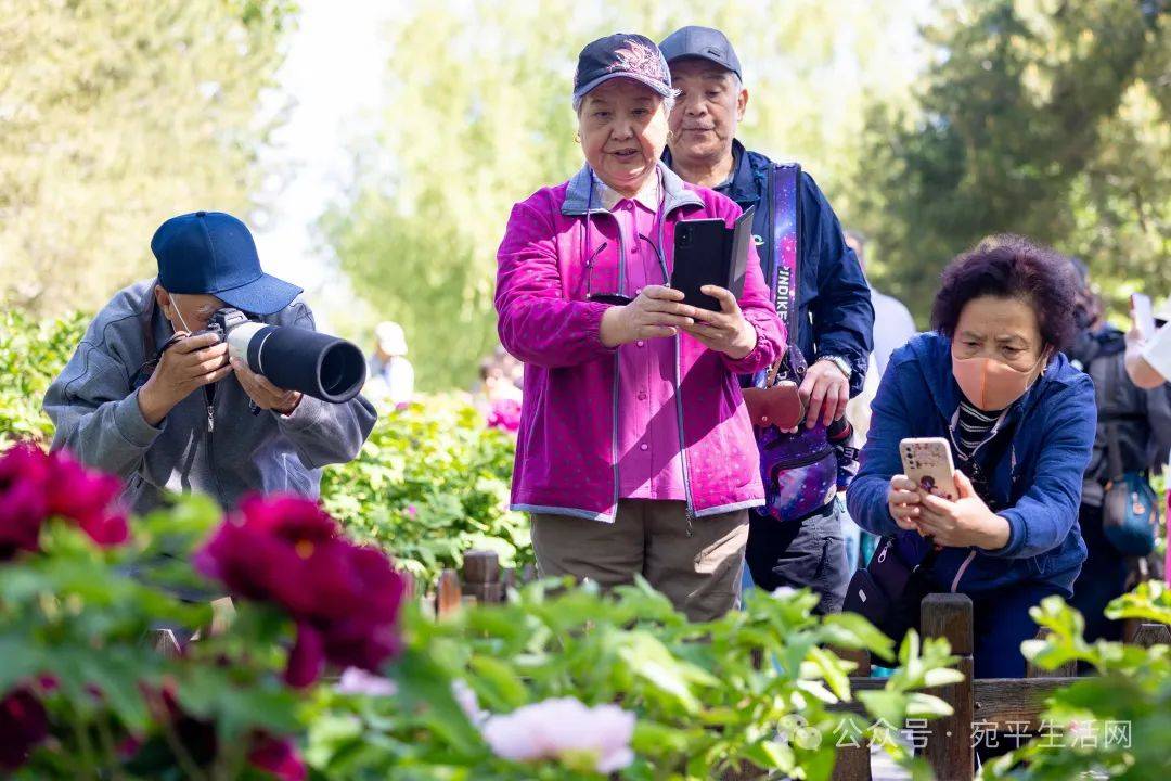 壁纸 花 桌面 1080_720