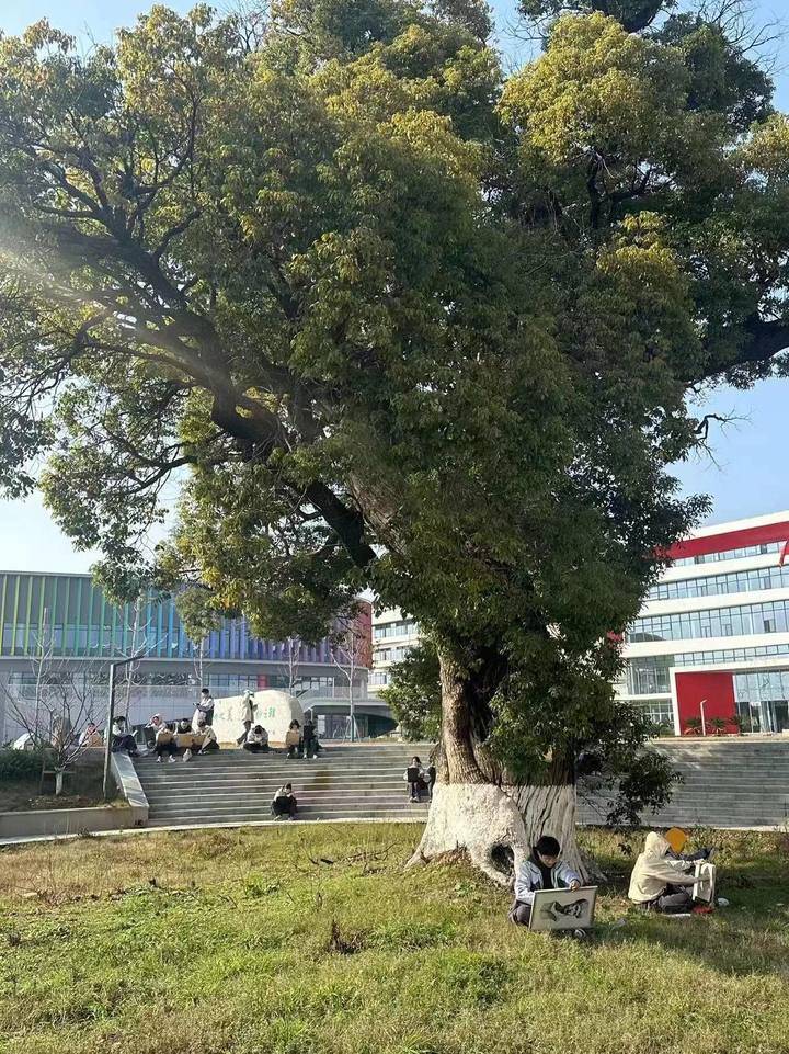 衢高的大美育观从美校到美心生命教育的艺术诠释