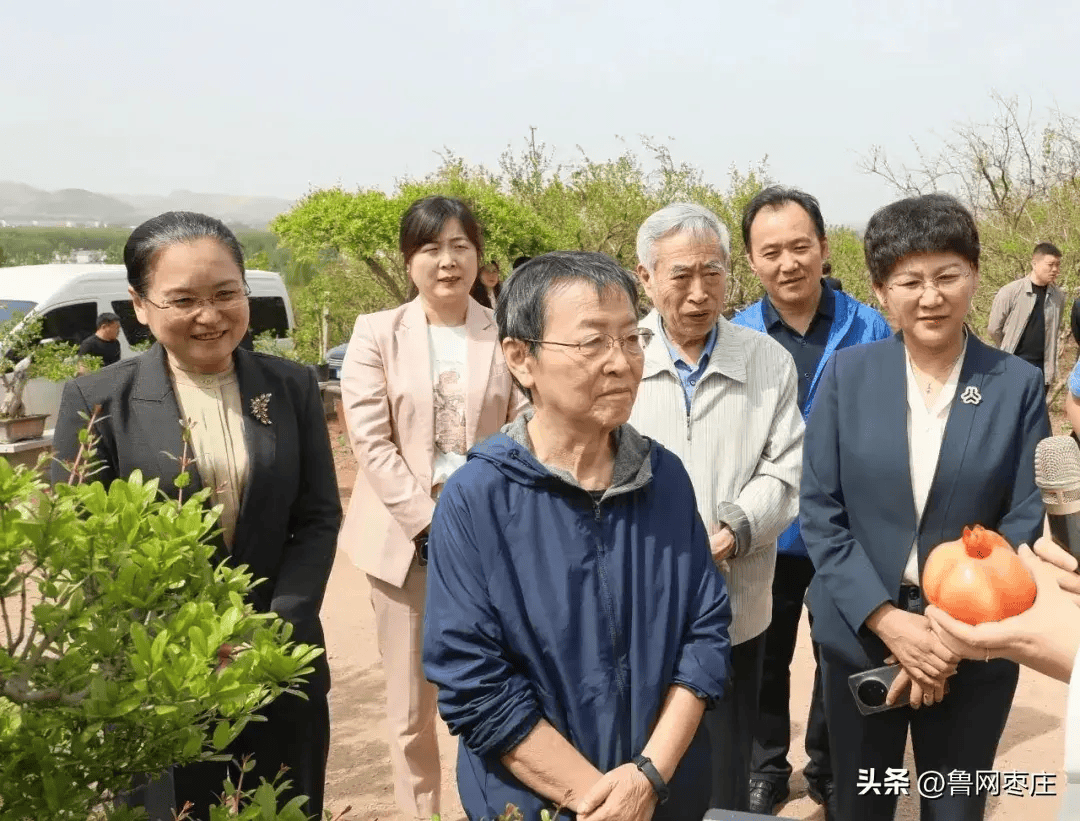 峄城区区长姜妍简介图片