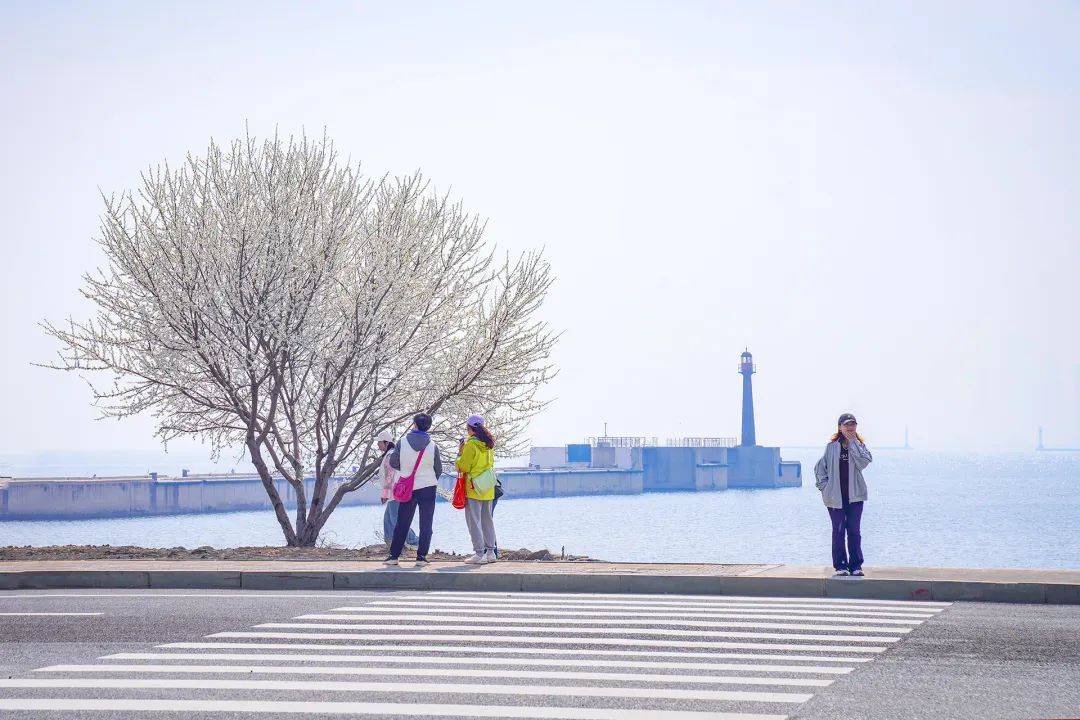 大连开启"宠溺模式",五一玩法替你安排妥了!