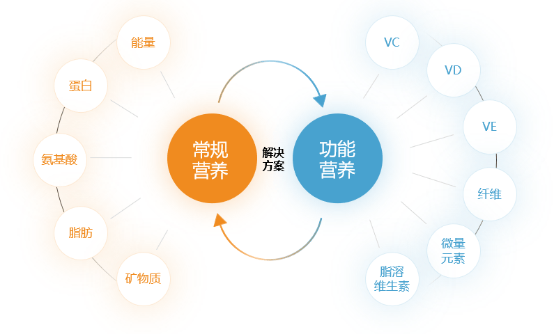 颐和论坛2024——营养创新与健康养殖大会4月17日下午听课笔记