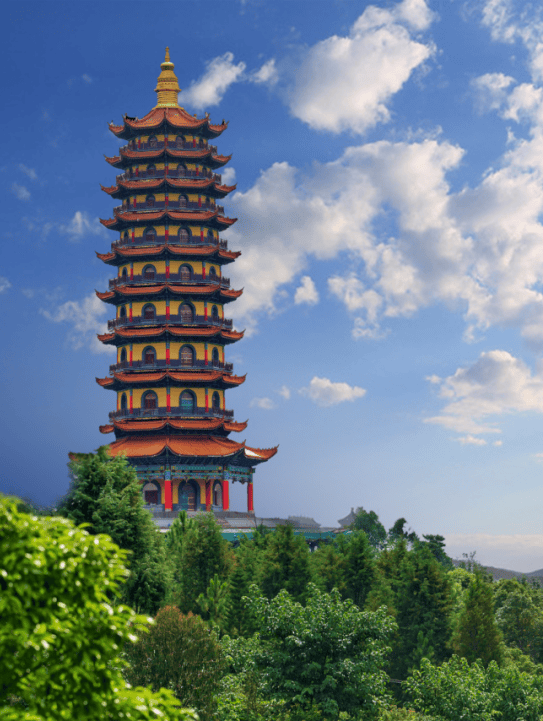 8周年·耕耘丨全力打好产业服务优势牌 以新质生产力服务人民群众美好