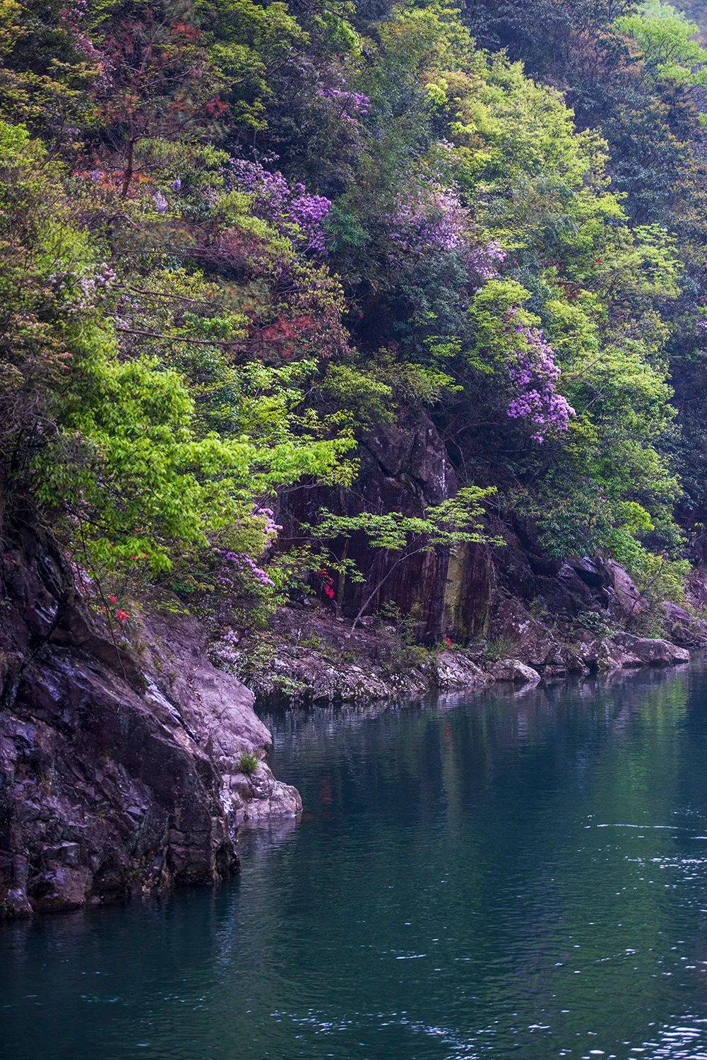 徒步山野 |秘境四窗岩,竟是四明山的由来_古道_水库_风景