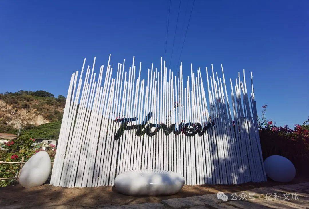 门票免费送!2024泉州鲜花港花海风车旅游季!