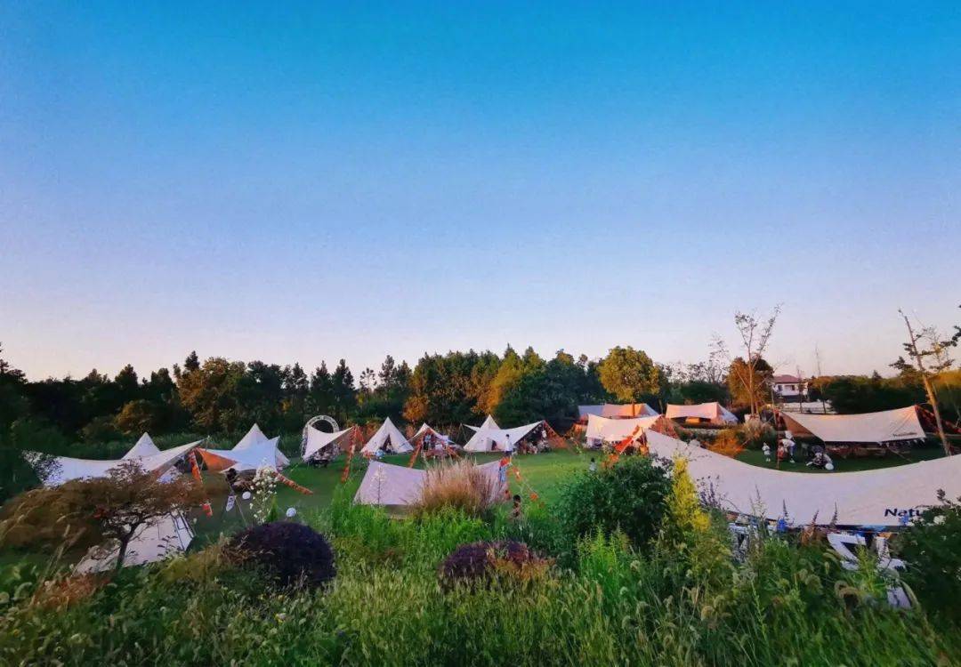 浦江郊野公园这些区域可以搭帐篷,点位信息看过来