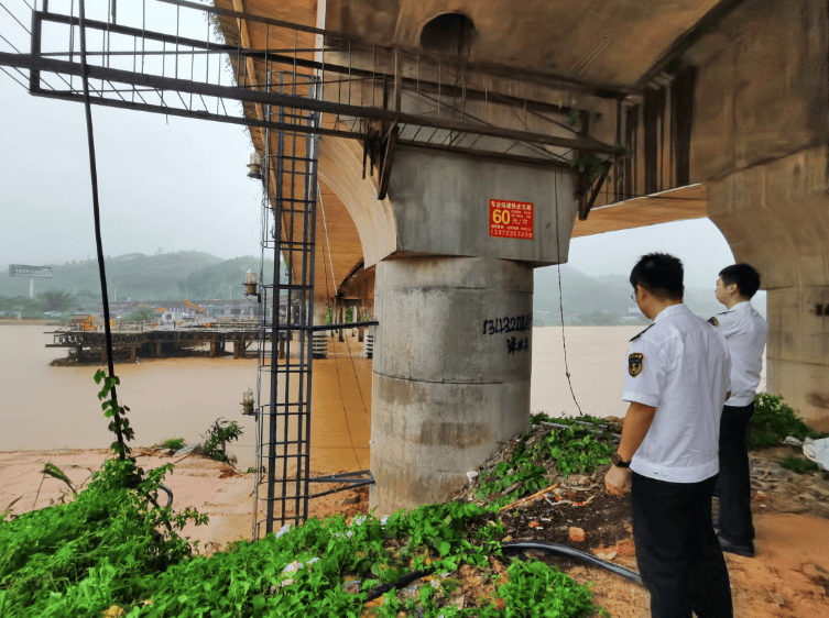 这些身影很动人!