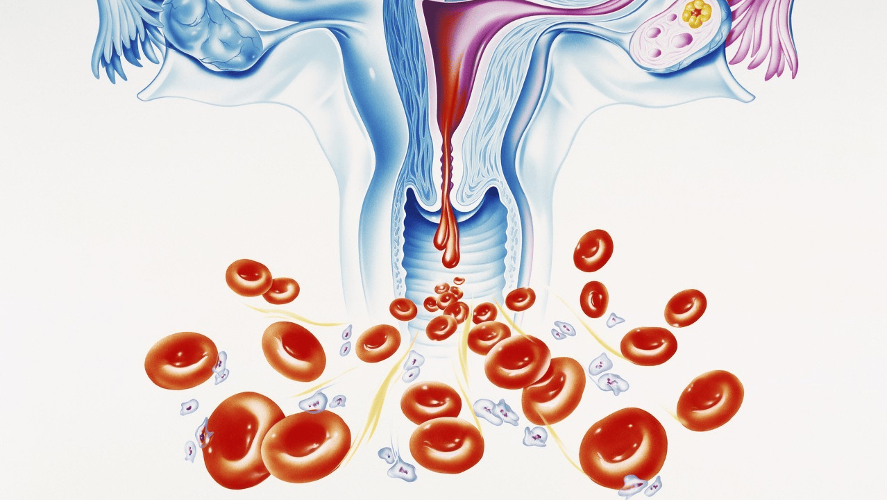 月经_子宫_小雨