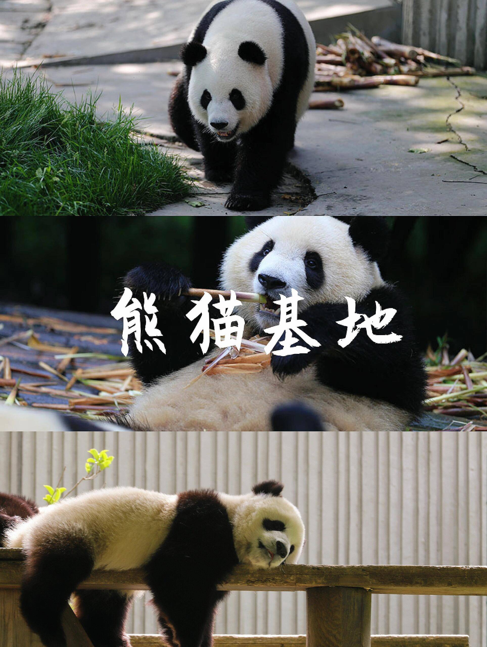 四川7天自驾旅游攻略 ,这些景点你一定要知道