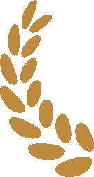 书香海淀 阅享青春 2024年海淀区全民阅读季启动仪式