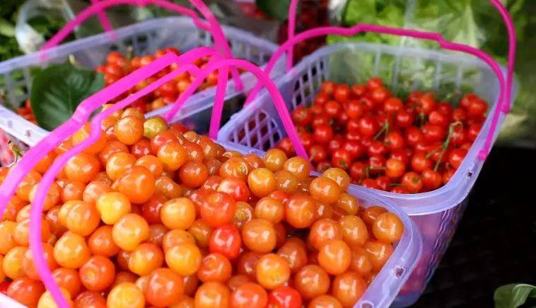 连续晴好天气,十堰人终于迎来吃樱桃的好时节