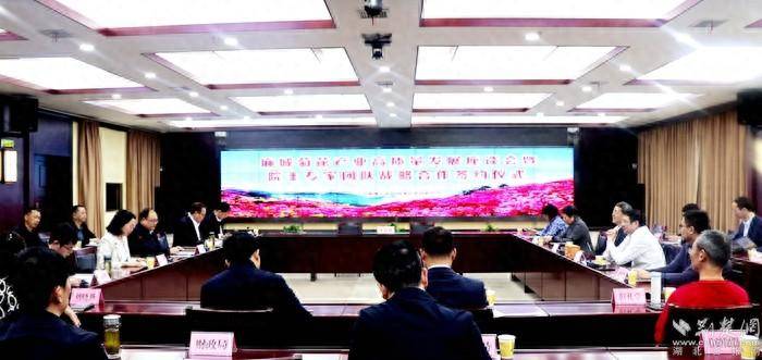 黄冈科协牵线搭台,院士专家"组团"加盟