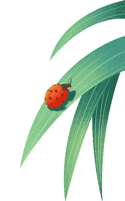 教育故事 | 肖阳:"荷子老师"与"孩儿们"