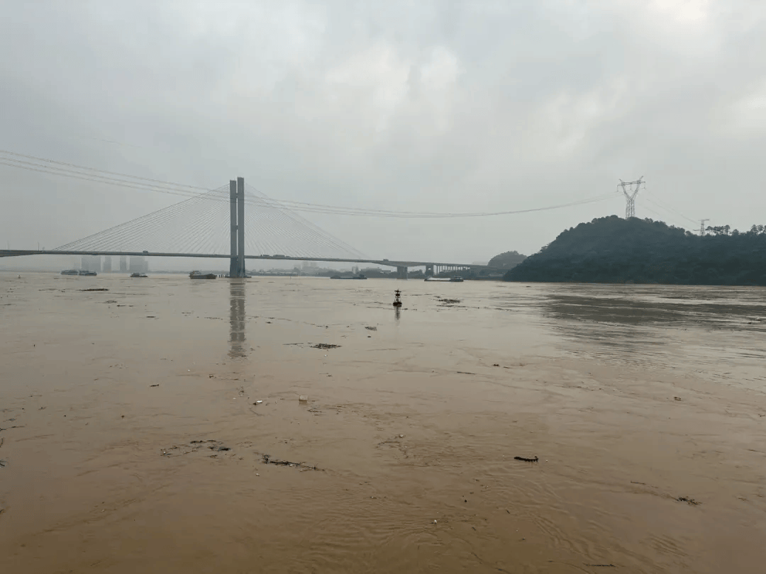 沙头北江湿地公园已关闭!洪峰今晚将过境佛山