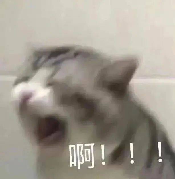 抖音陷假人收费风波：真人认证成闹剧，按时计费引发用户愤怒-初仟社区