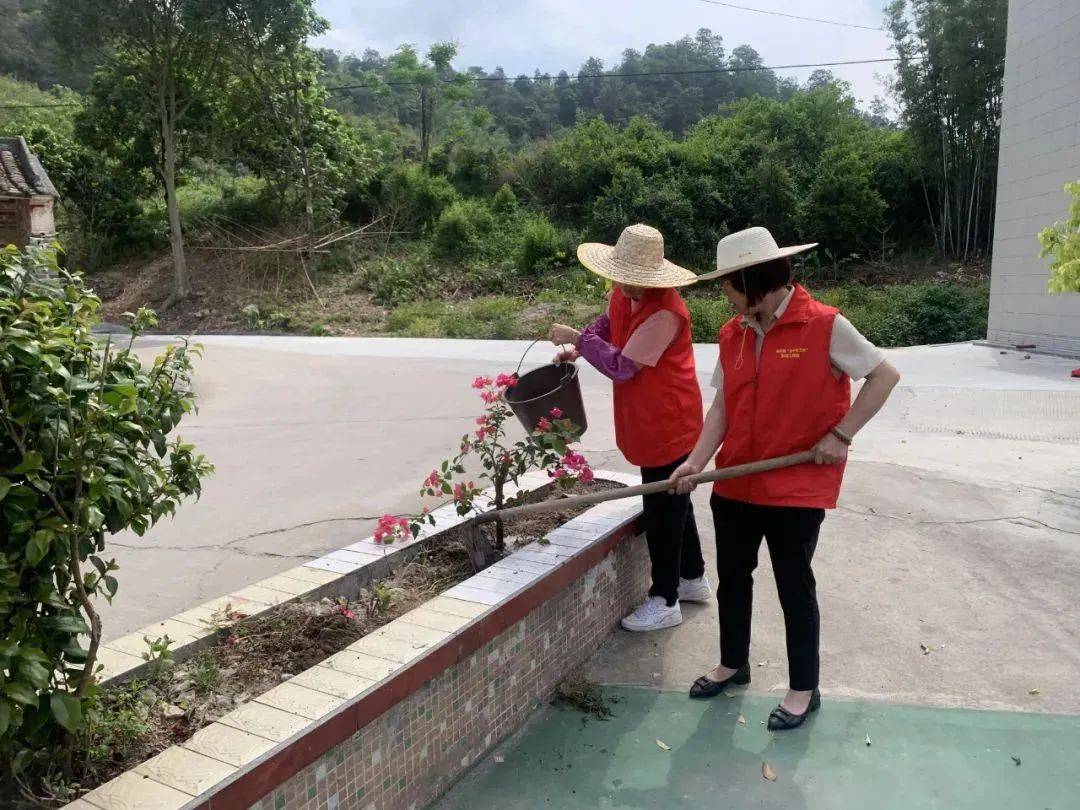 【聚焦"百千万工程"】新兴县河头镇:探索"123"工作法 建强"百千万工程