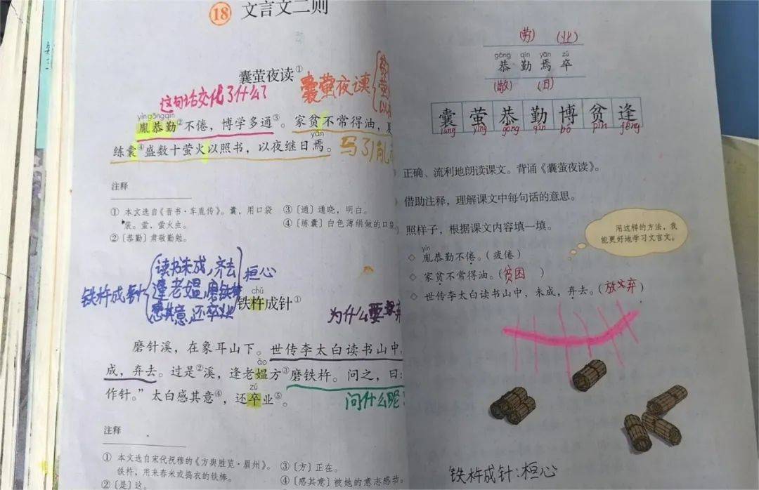 周宥信周瑾轩周浩轩郑伊诺詹子菡袁宸骏许若萱徐